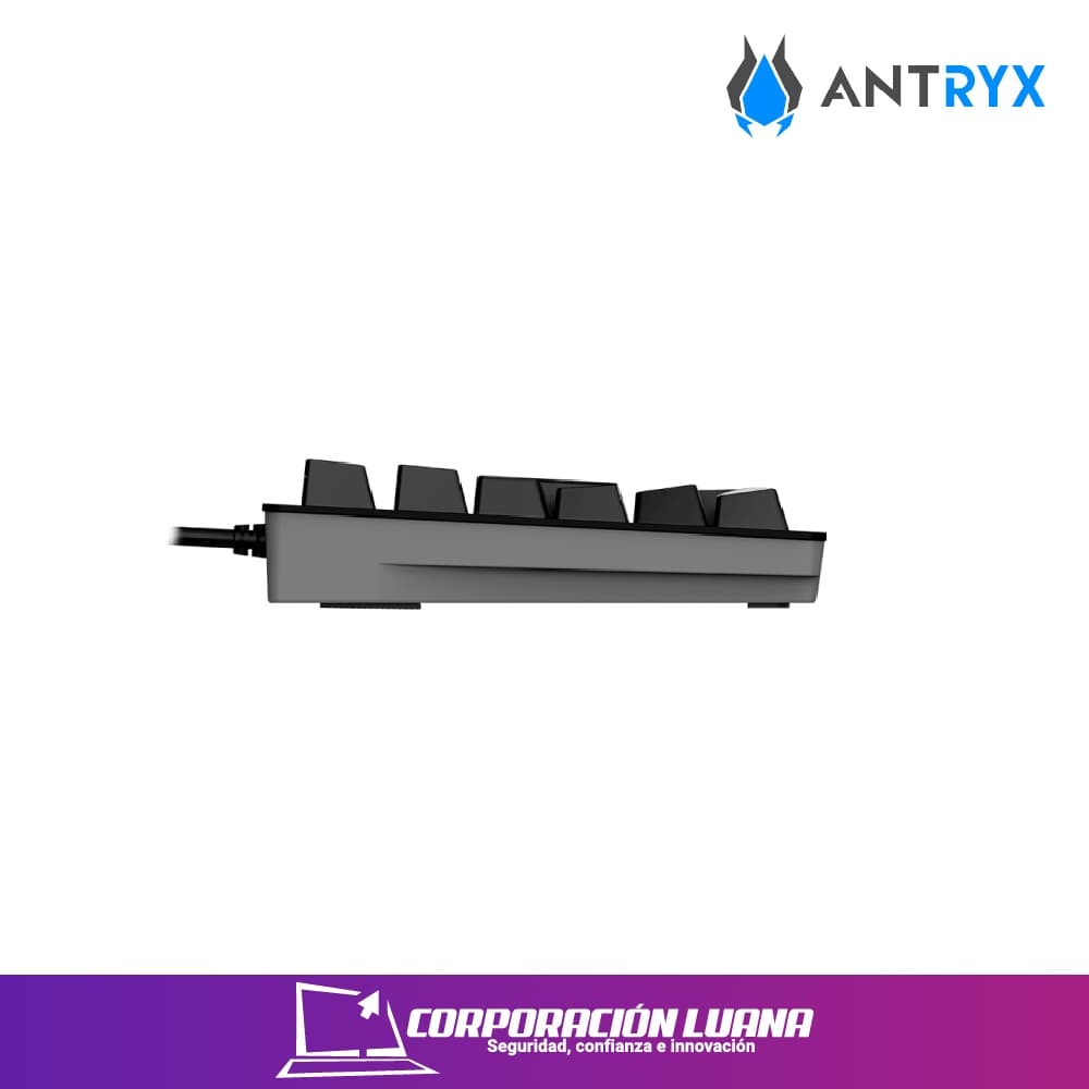 Imagen de TECLADO MECANICO ANTRYX ML860L NEGRO | GRIS ( AMK-CS860LKGPU ) SWITCH PURPURA