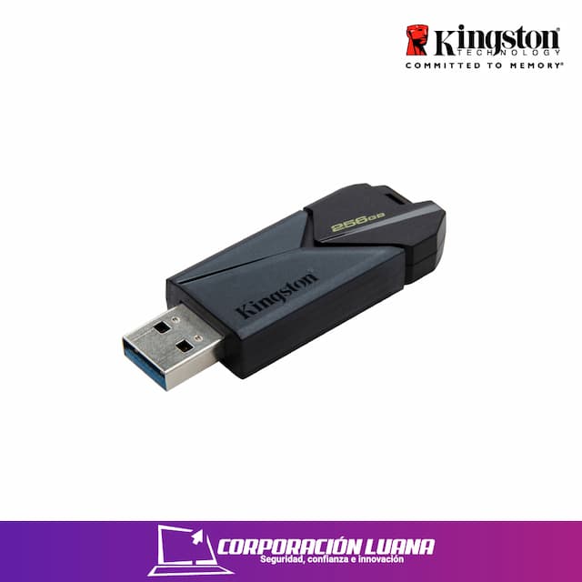 MEMORIA USB KINGSTON DATATRAVELER EXODIA ONYX 256GB ( DTXON/256GB ) NEGRO MATA | USB 3.2 GEN 1