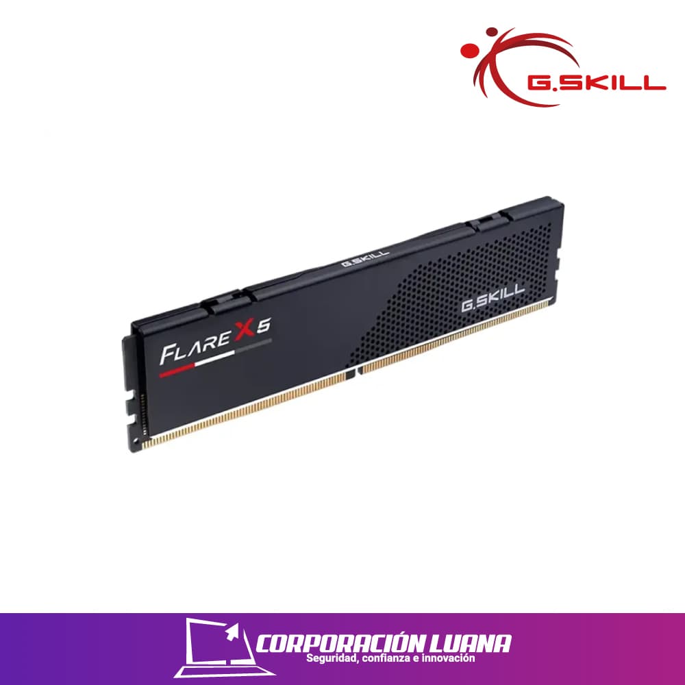 Imagen de MEMORIA RAM GSKILL FLARE X5 16GB 6000 MTS ( F5-6000J3636F16GX1-FX5 ) DDR5 | CL36 | AMD EXPO - INTEL XMP