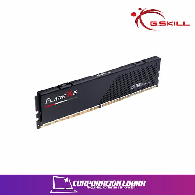MEMORIA RAM GSKILL FLARE X5 16GB 6000 MTS ( F5-6000J3636F16GX1-FX5 ) DDR5 | CL36 | AMD EXPO - INTEL XMP